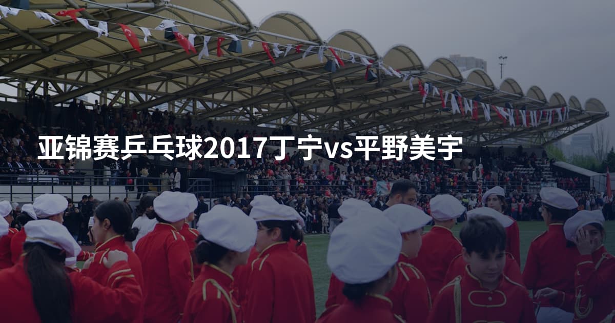 亚锦赛乒乓球2017丁宁vs平野美宇