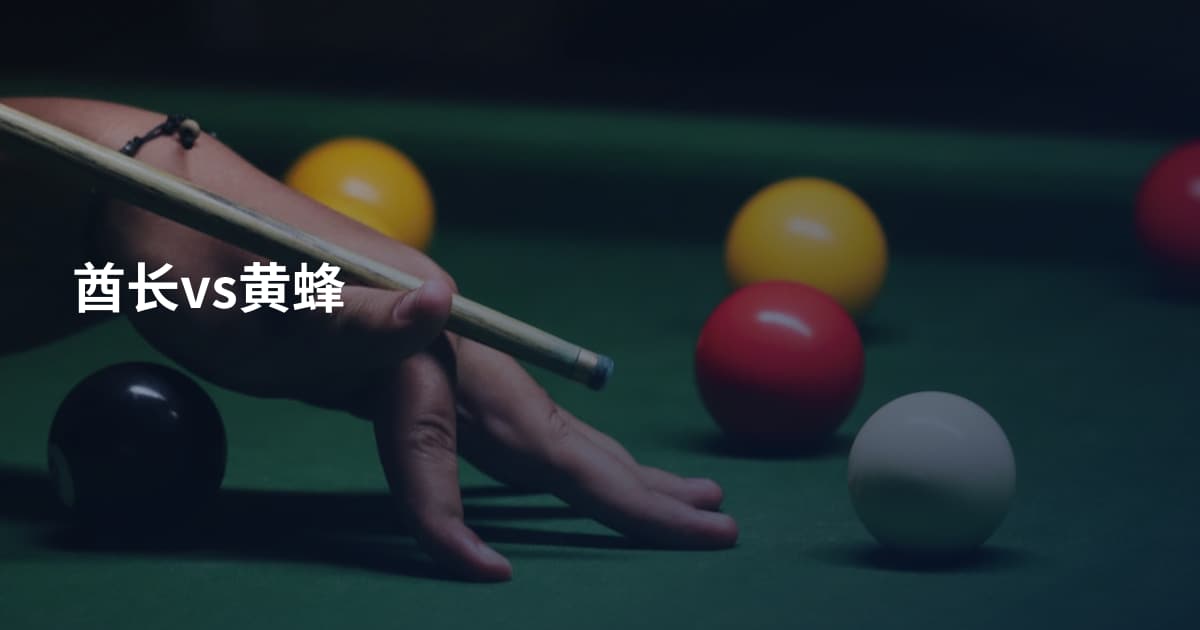 酋长vs黄蜂
