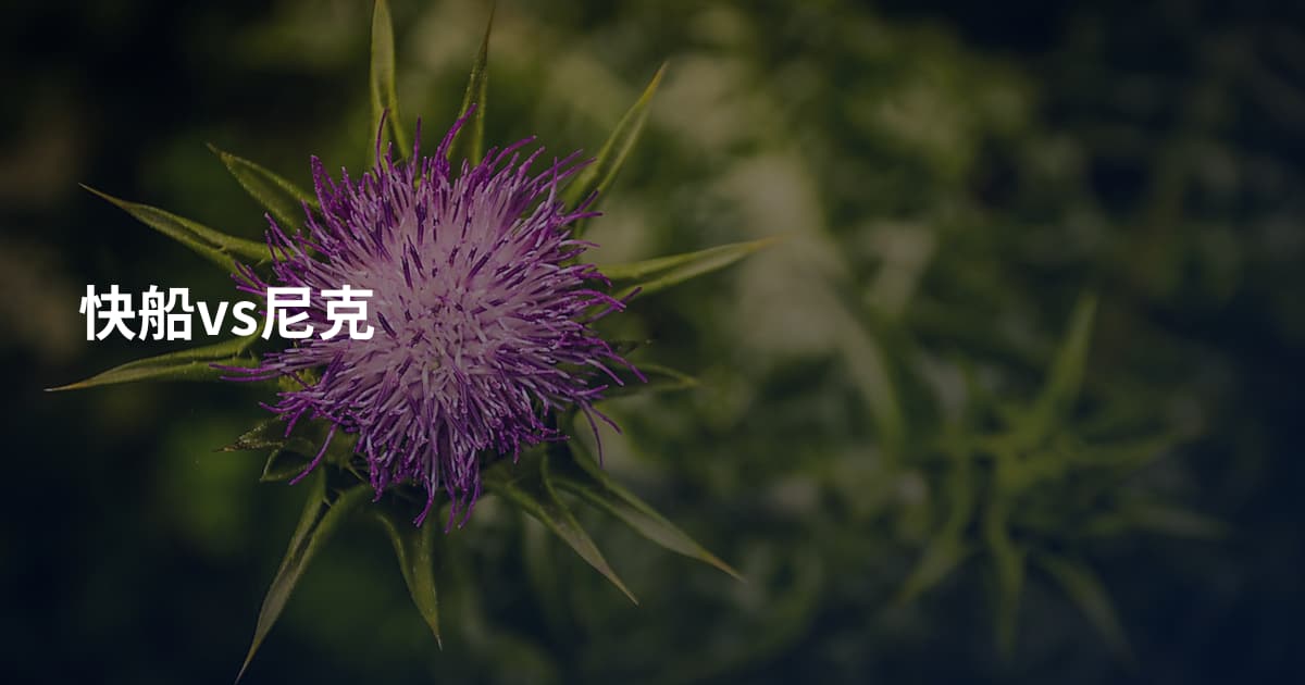 快船vs尼克