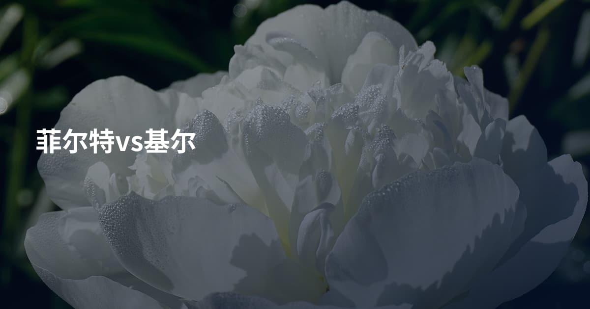 菲尔特vs基尔