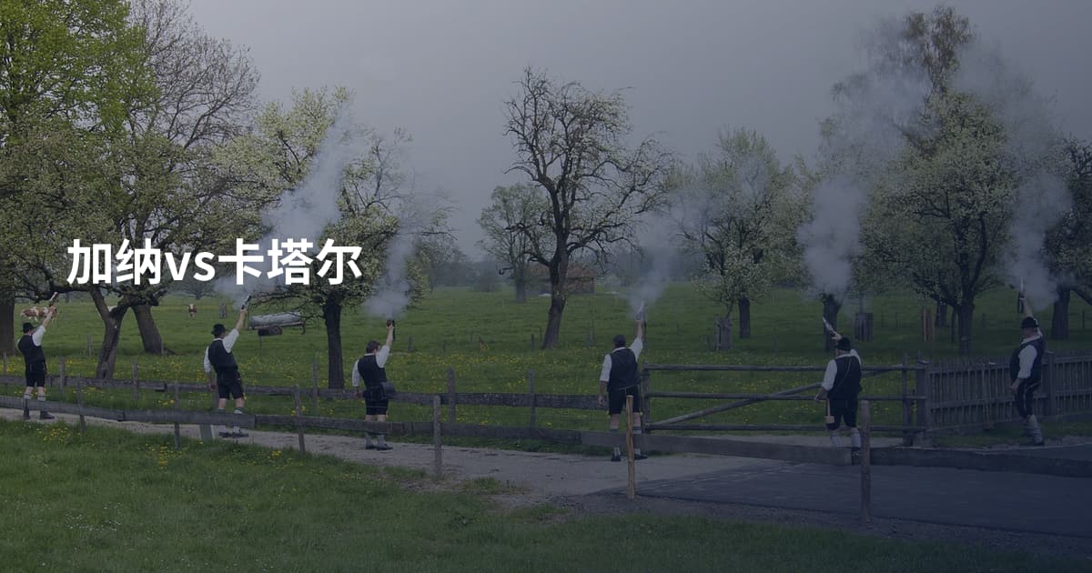 加纳vs卡塔尔