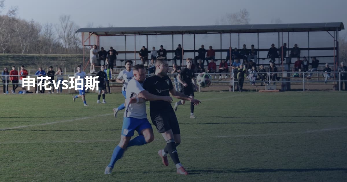 申花vs珀斯