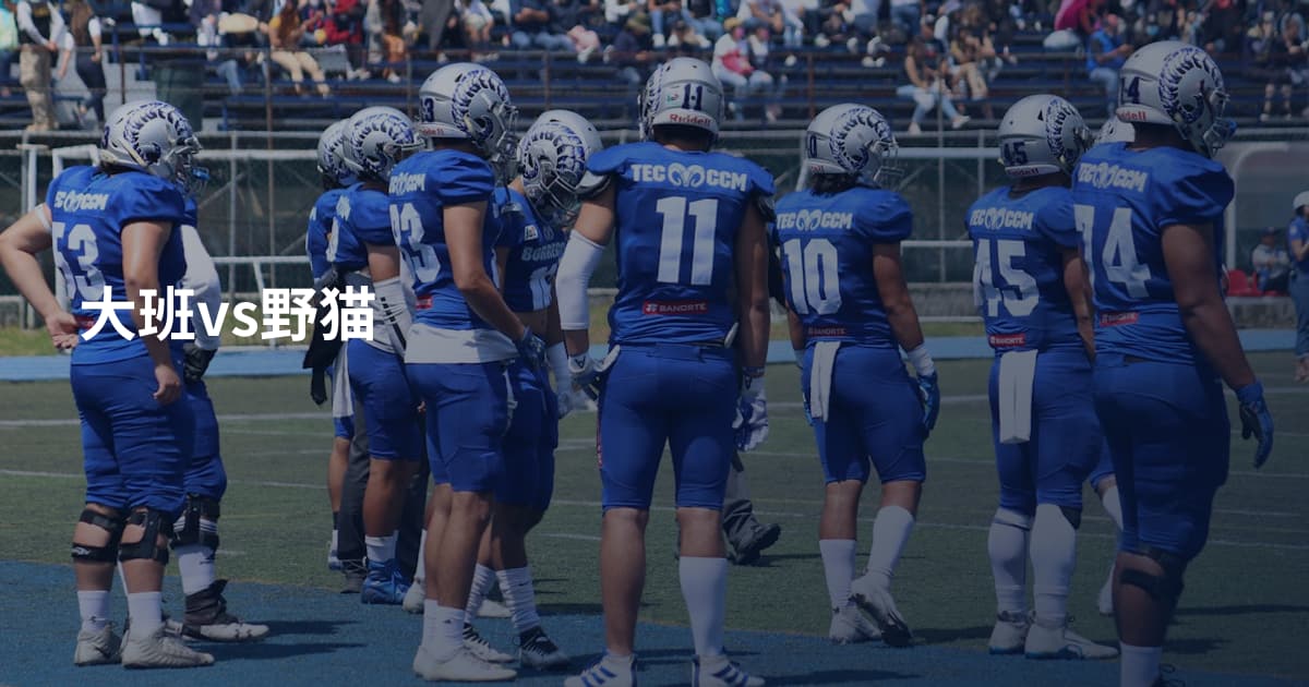 大班vs野猫