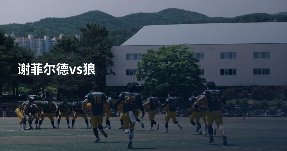 谢菲尔德vs狼