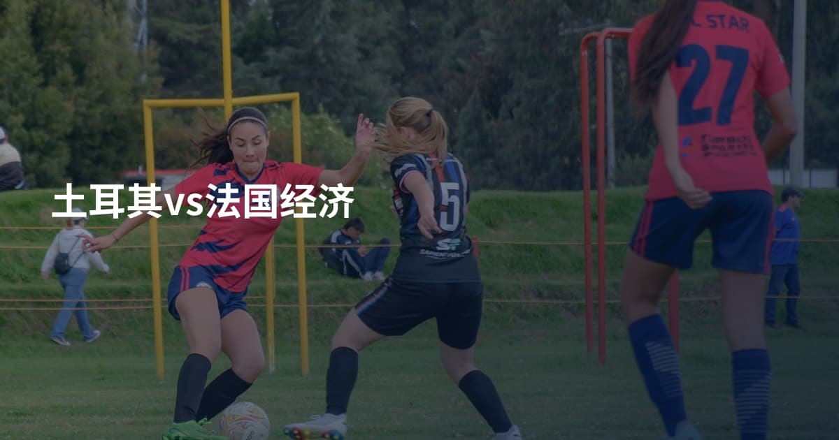 土耳其vs法国经济
