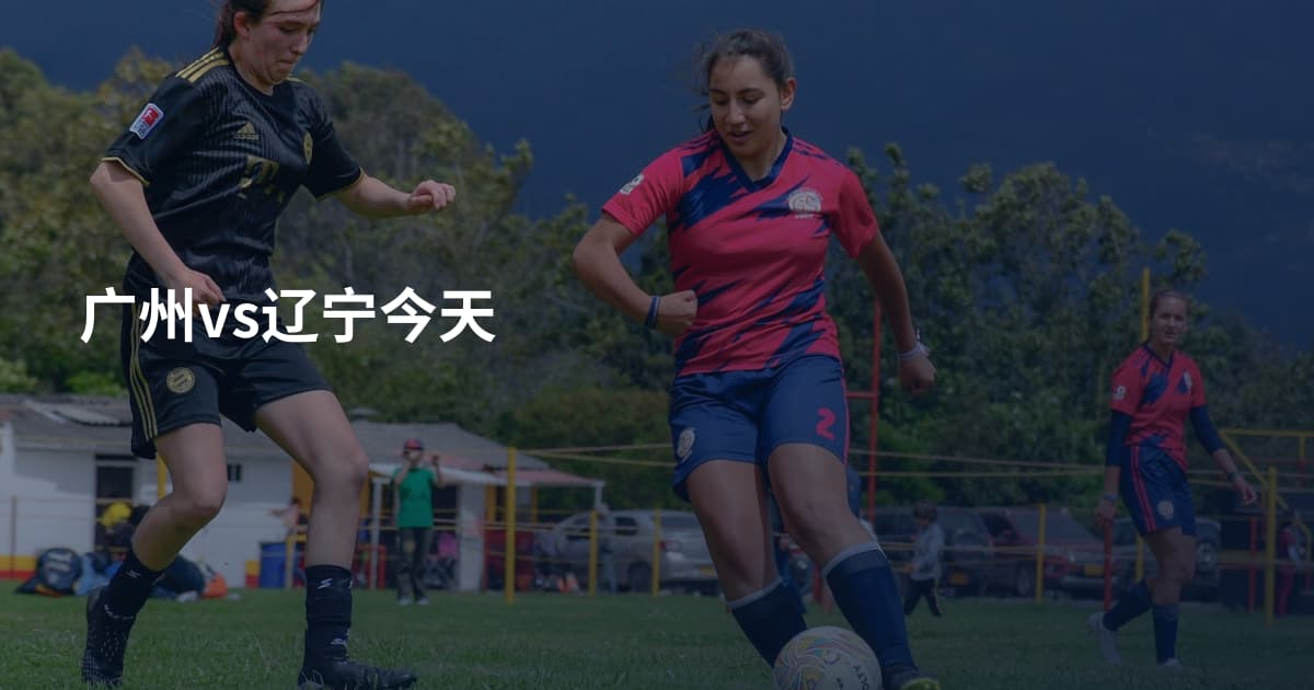 广州vs辽宁今天