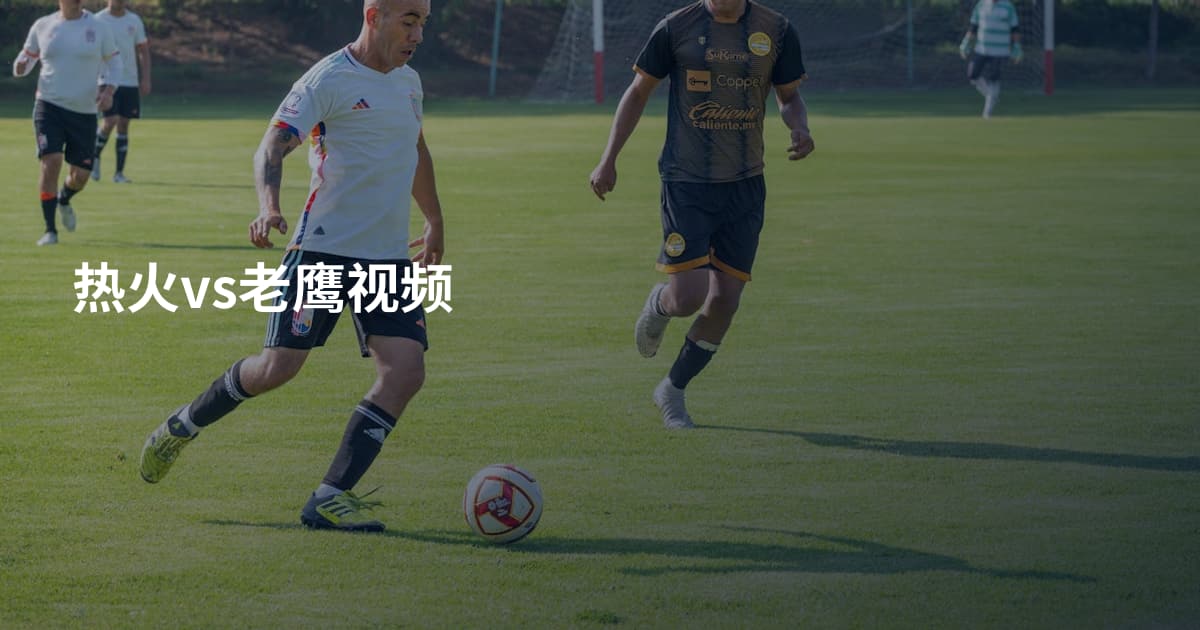 热火vs老鹰视频