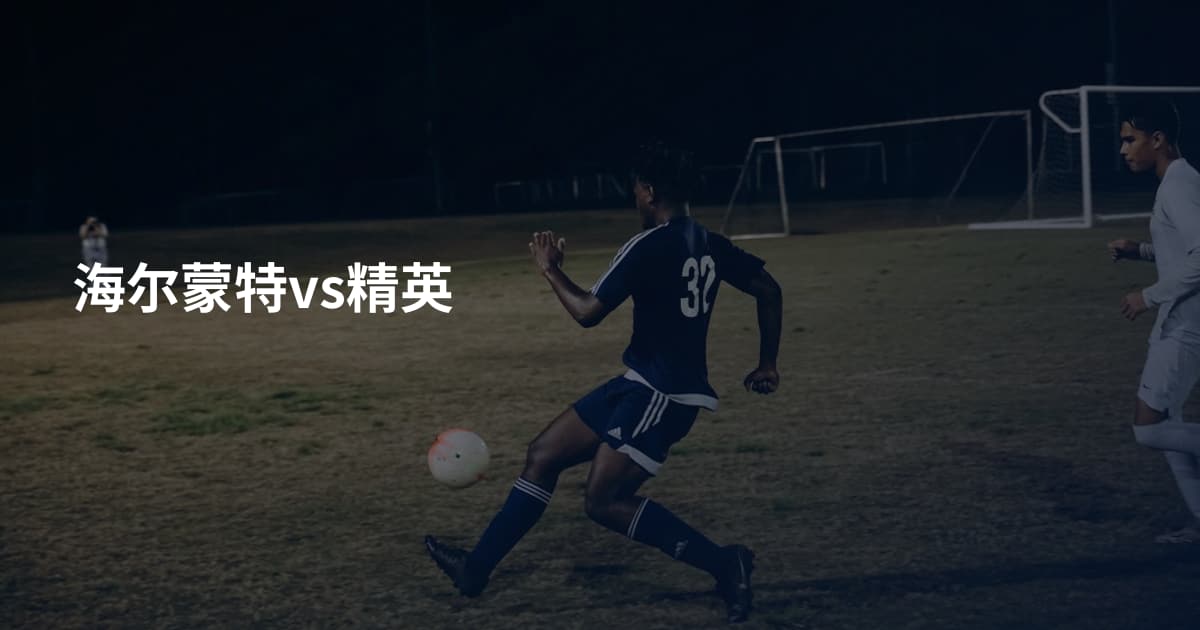海尔蒙特vs精英