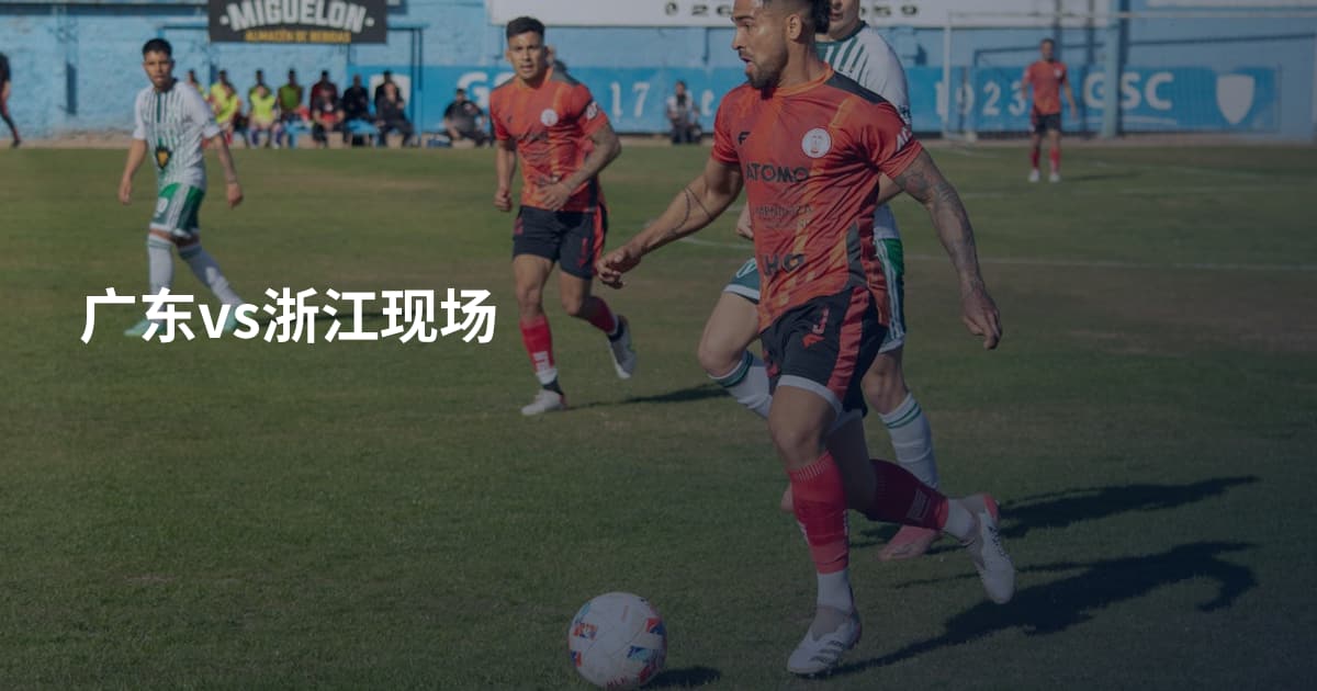 广东vs浙江现场