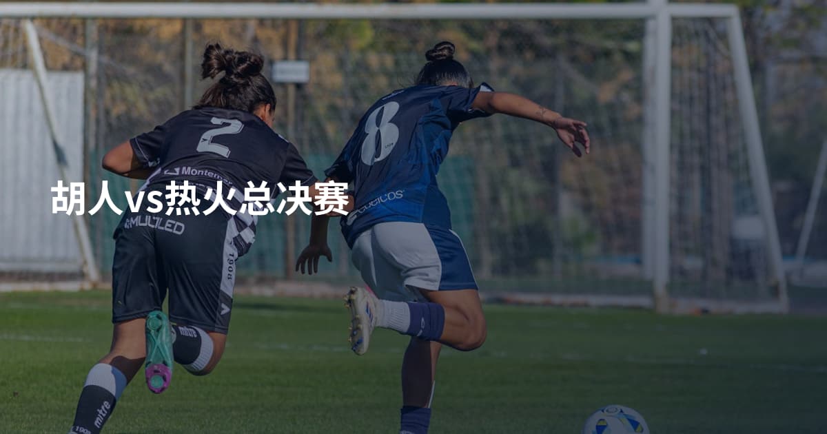 胡人vs热火总决赛
