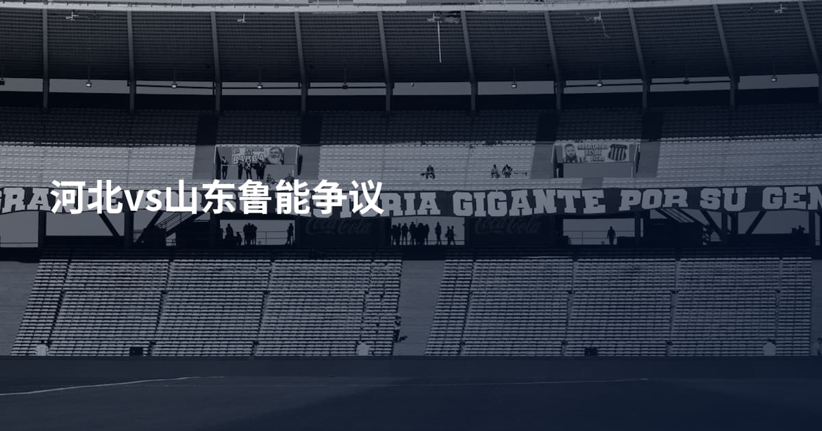 河北vs山东鲁能争议