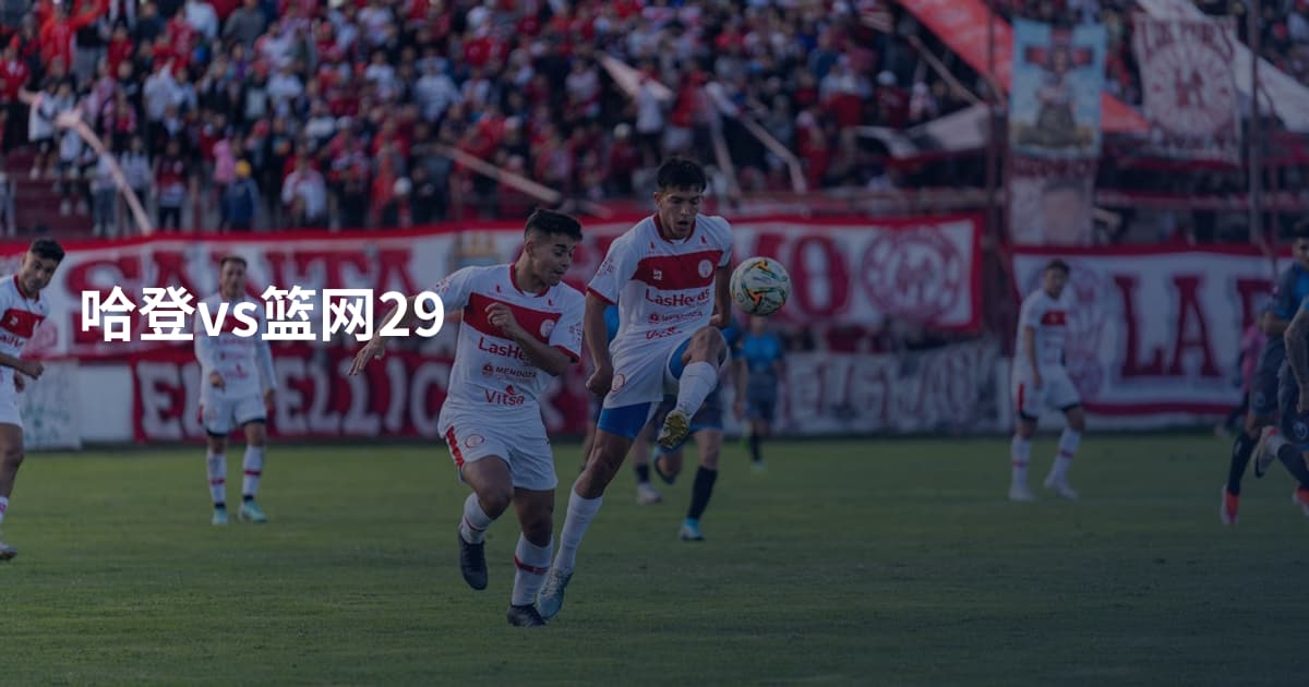 哈登vs篮网29