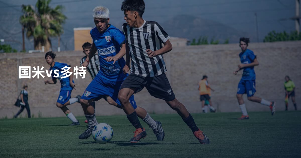 国米vs多特