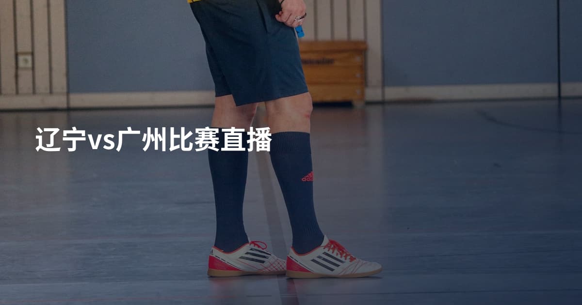 辽宁vs广州比赛直播