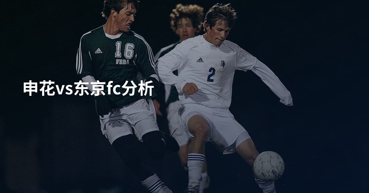 申花vs东京fc分析