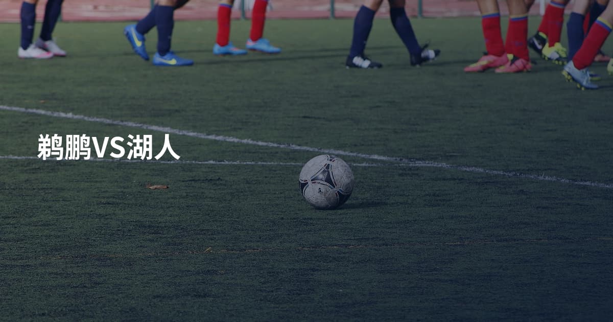 鹈鹏VS湖人