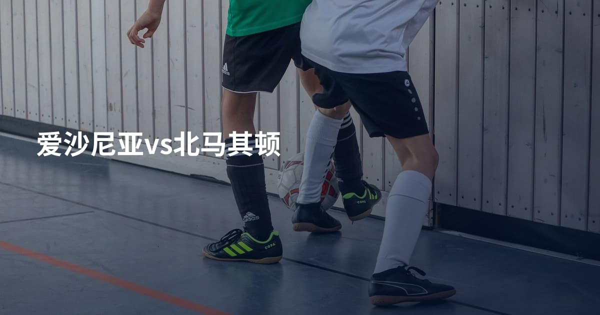 爱沙尼亚vs北马其顿