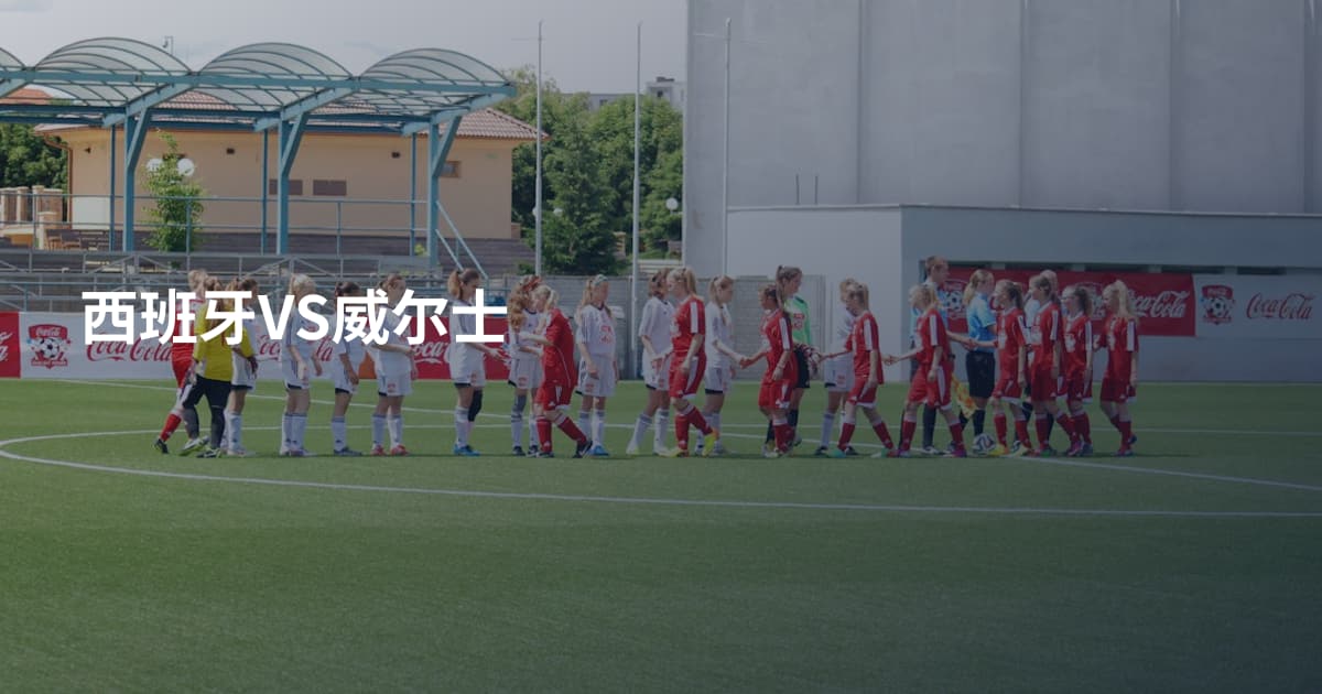 西班牙VS威尔士