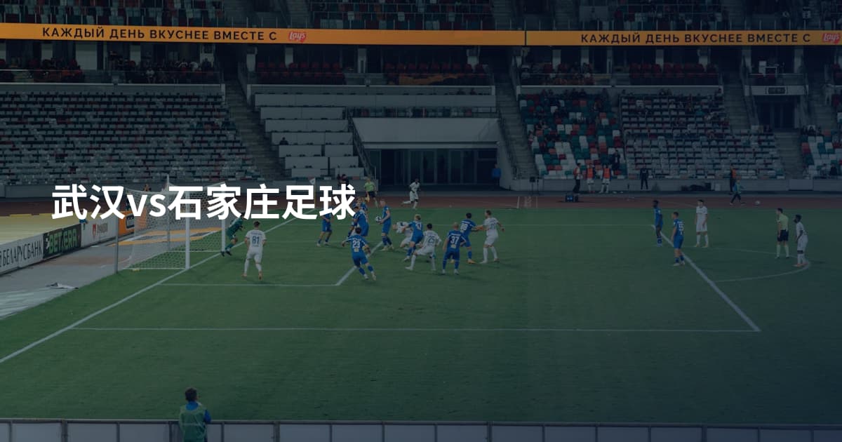 武汉vs石家庄足球