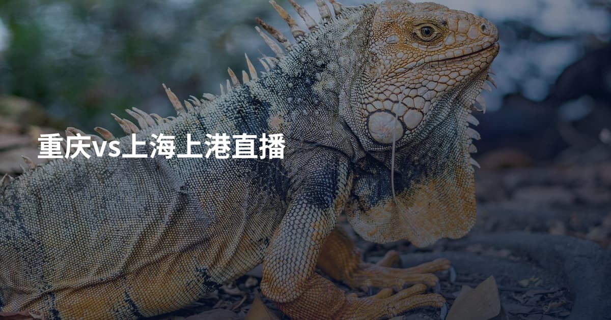 重庆vs上海上港直播
