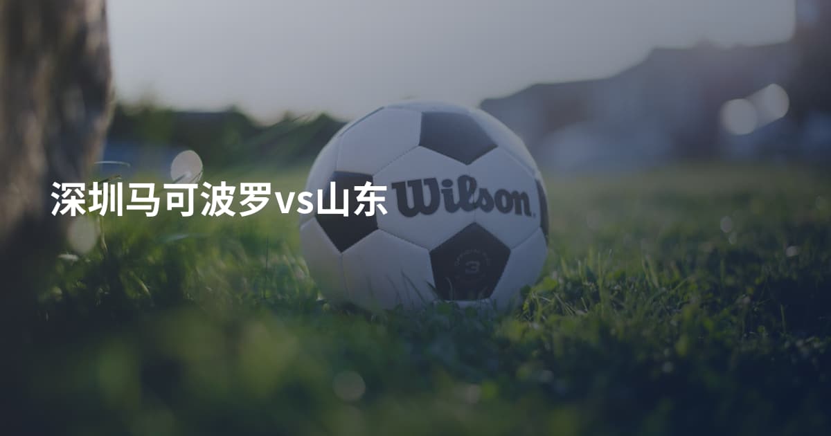 深圳马可波罗vs山东
