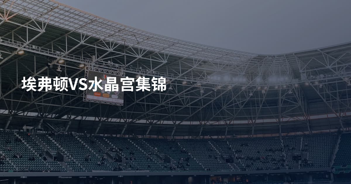 埃弗顿VS水晶宫集锦