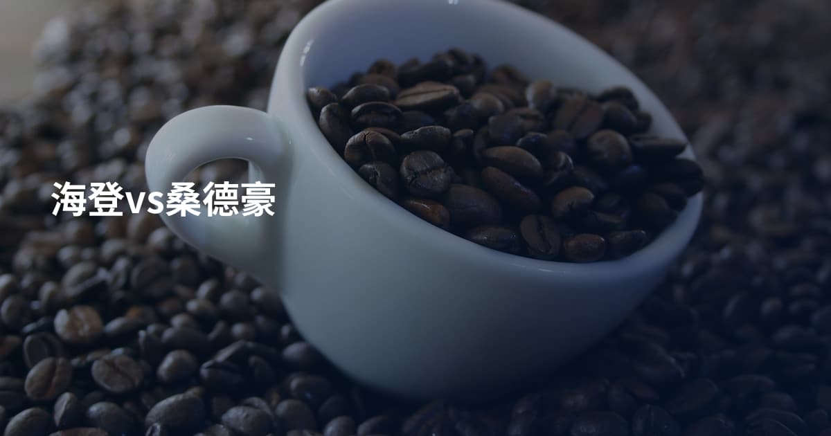 海登vs桑德豪