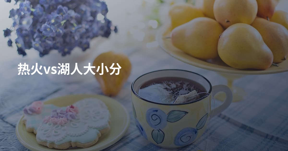热火vs湖人大小分