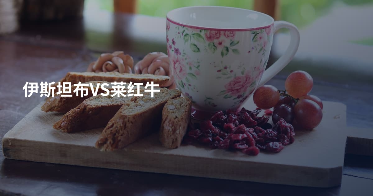 伊斯坦布VS莱红牛