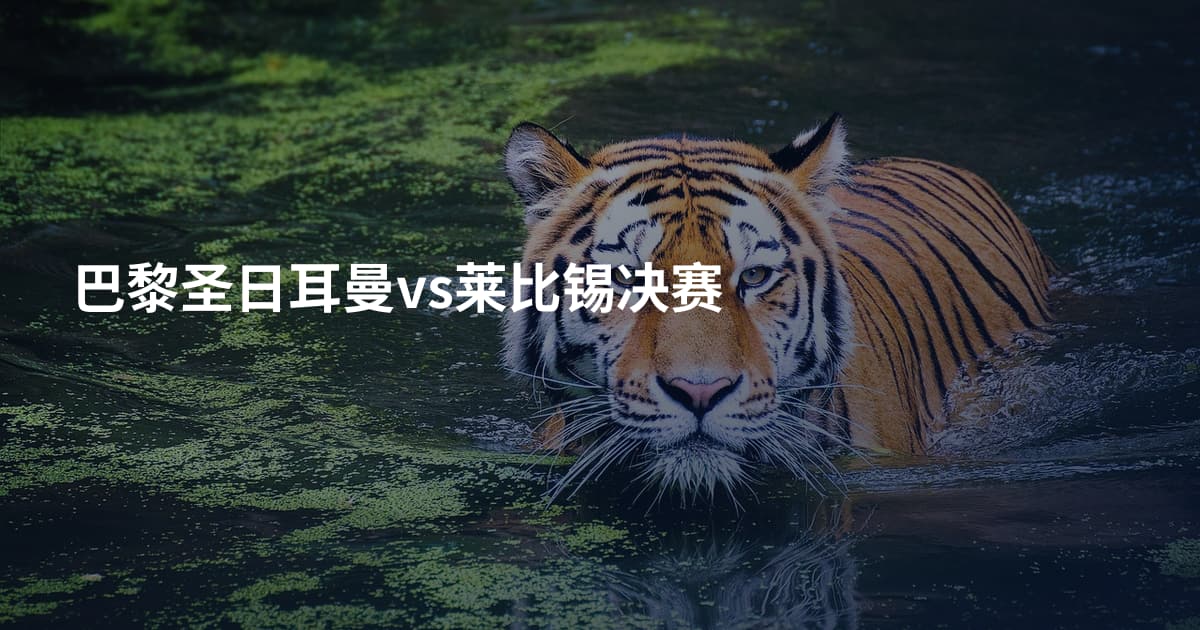 巴黎圣日耳曼vs莱比锡决赛
