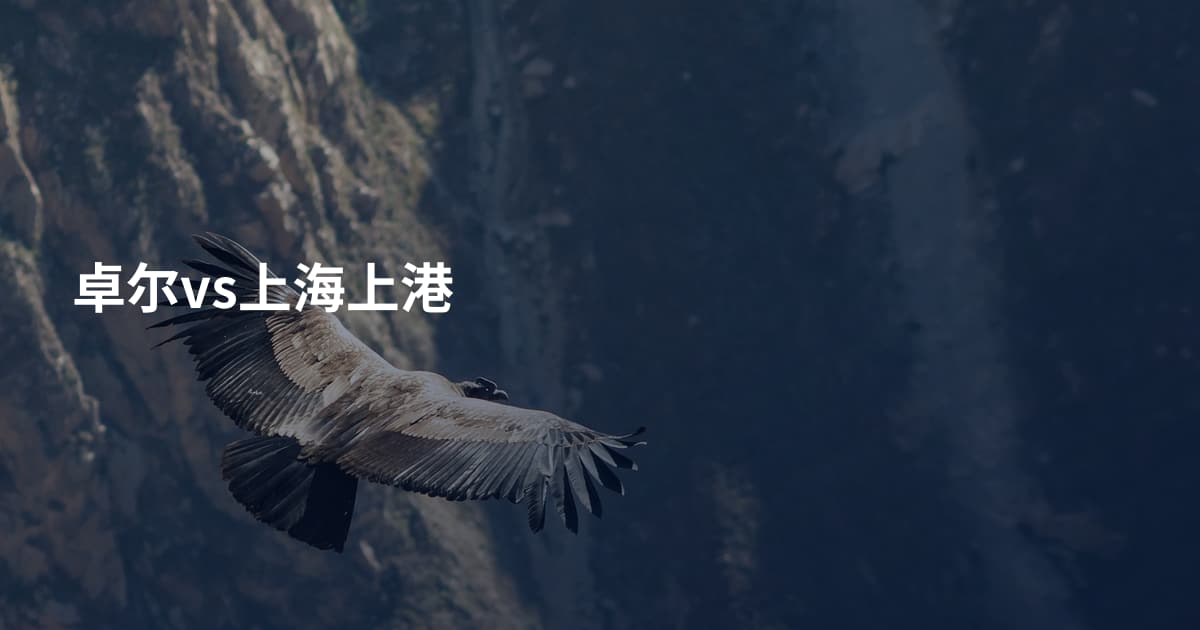 卓尔vs上海上港