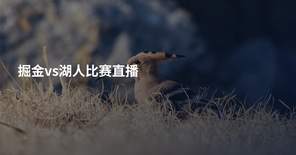掘金vs湖人比赛直播