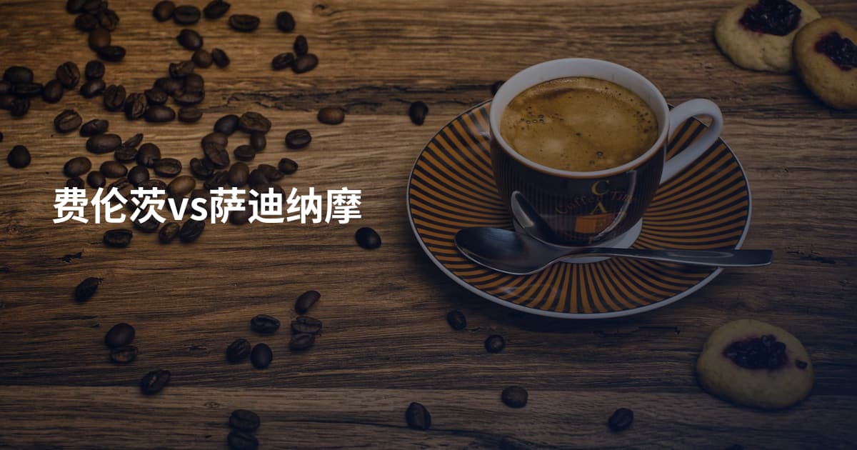 费伦茨vs萨迪纳摩