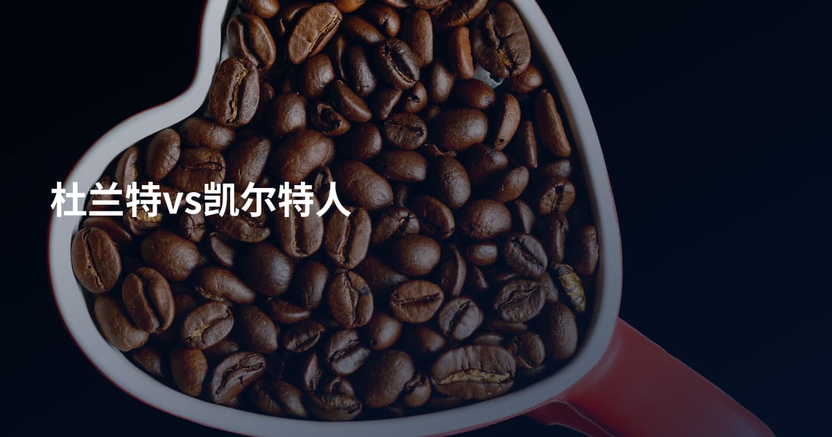 杜兰特vs凯尔特人