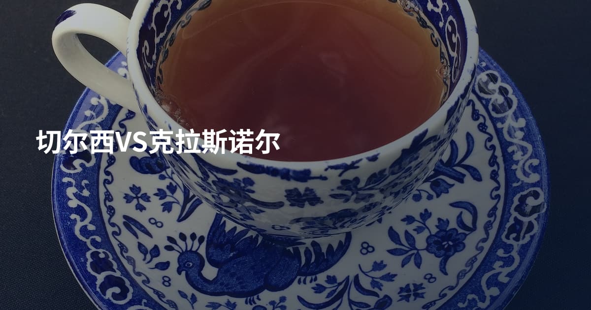 切尔西VS克拉斯诺尔