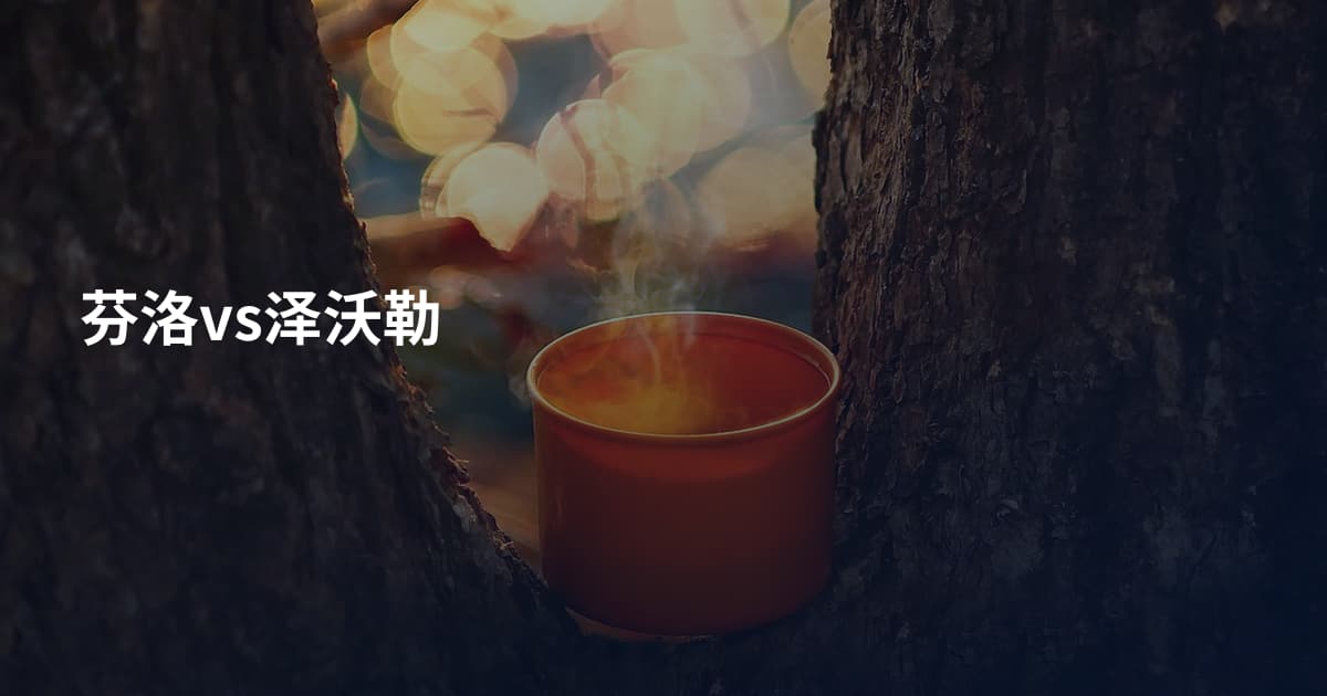芬洛vs泽沃勒