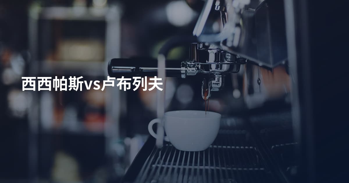 西西帕斯vs卢布列夫