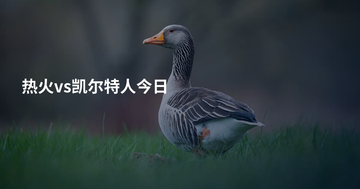 热火vs凯尔特人今日