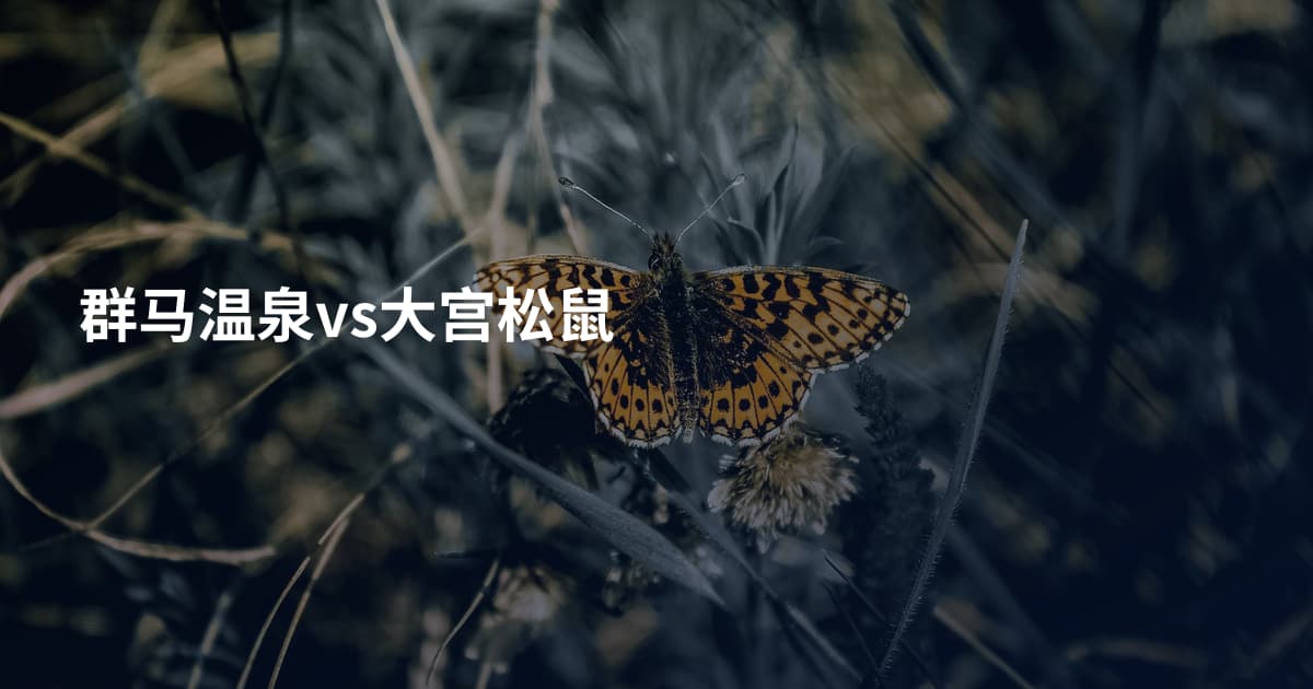 群马温泉vs大宫松鼠