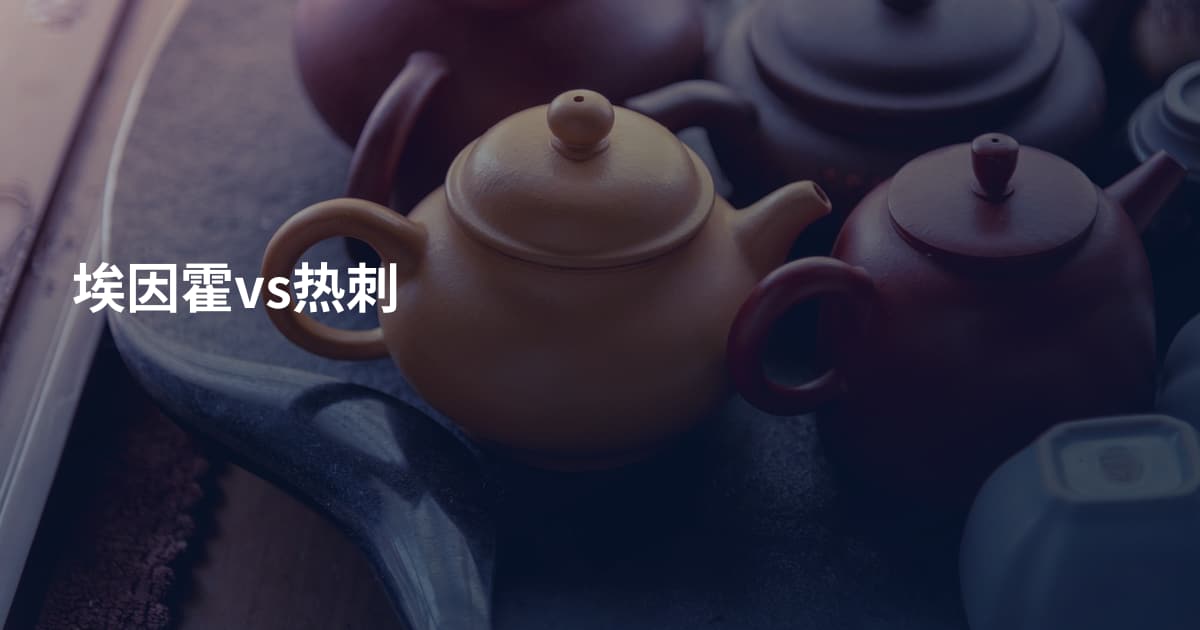 埃因霍vs热刺