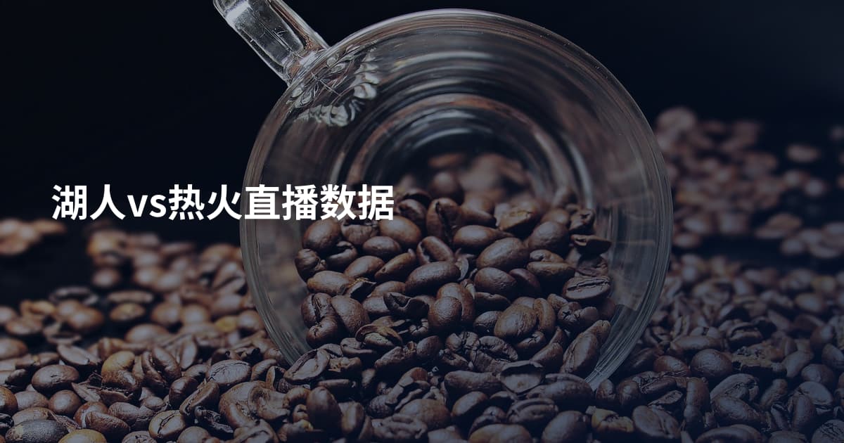 湖人vs热火直播数据