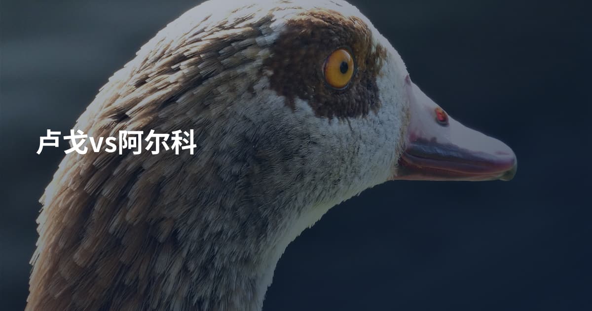 卢戈vs阿尔科