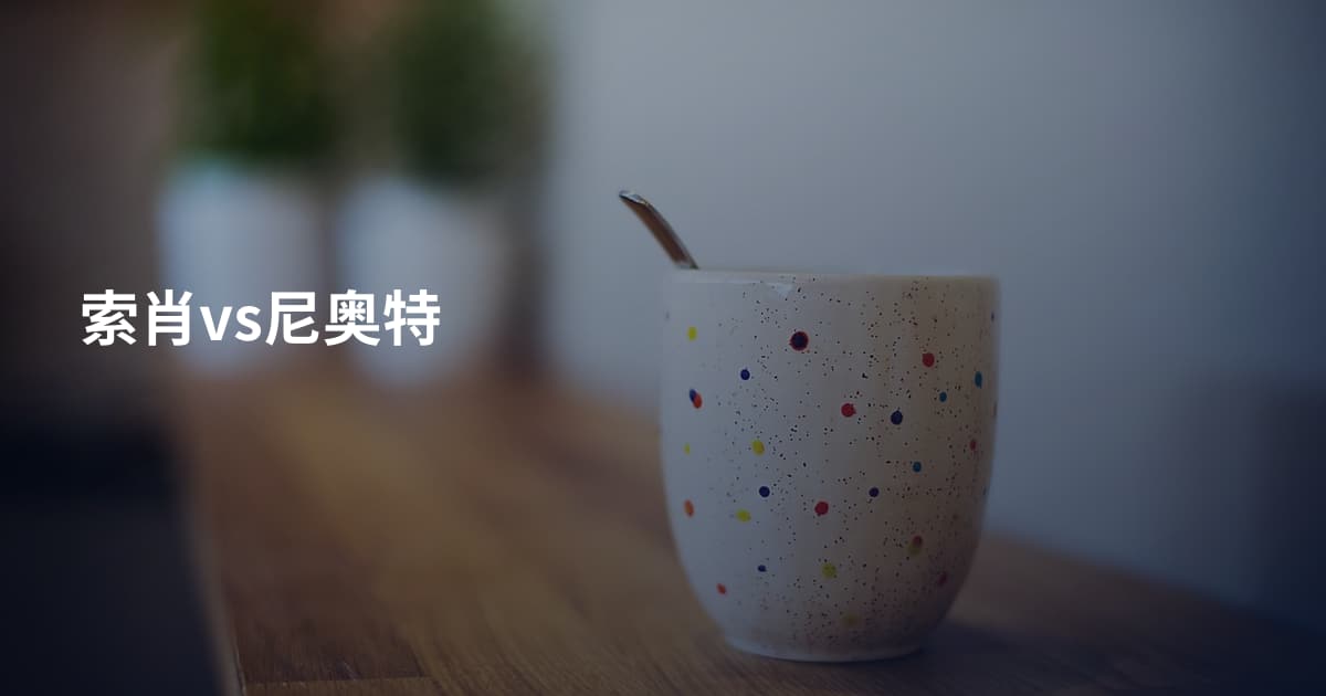 索肖vs尼奥特