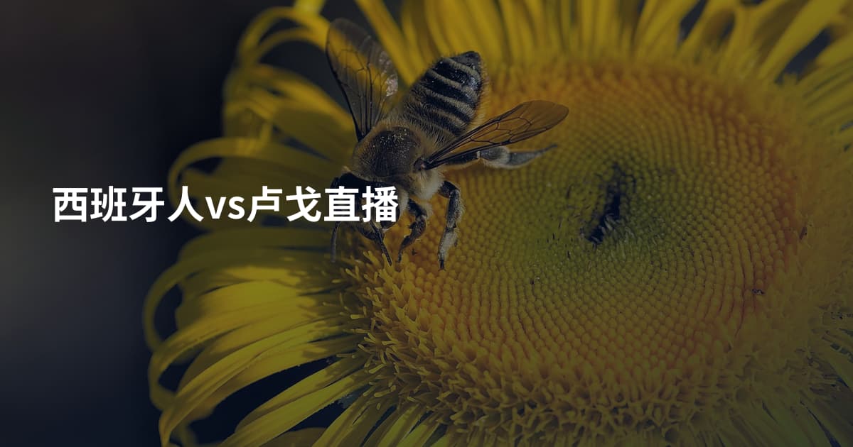 西班牙人vs卢戈直播