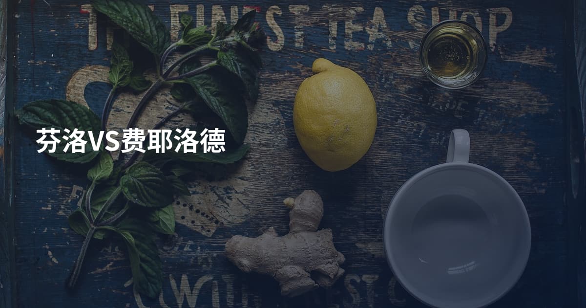 芬洛VS费耶洛德