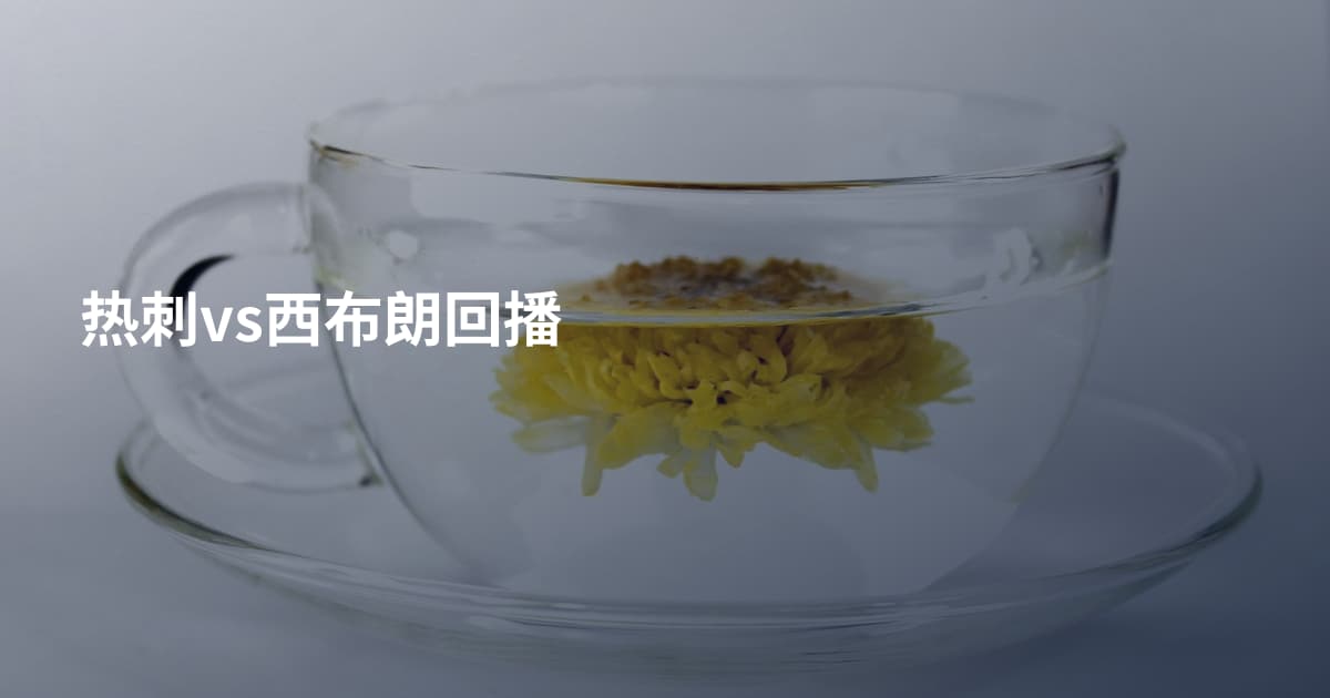 热刺vs西布朗回播