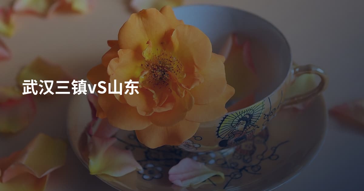 武汉三镇vS山东