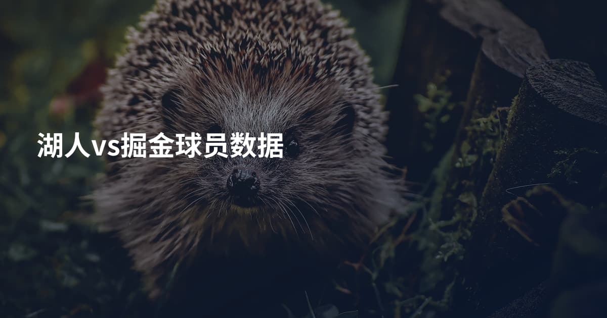 湖人vs掘金球员数据