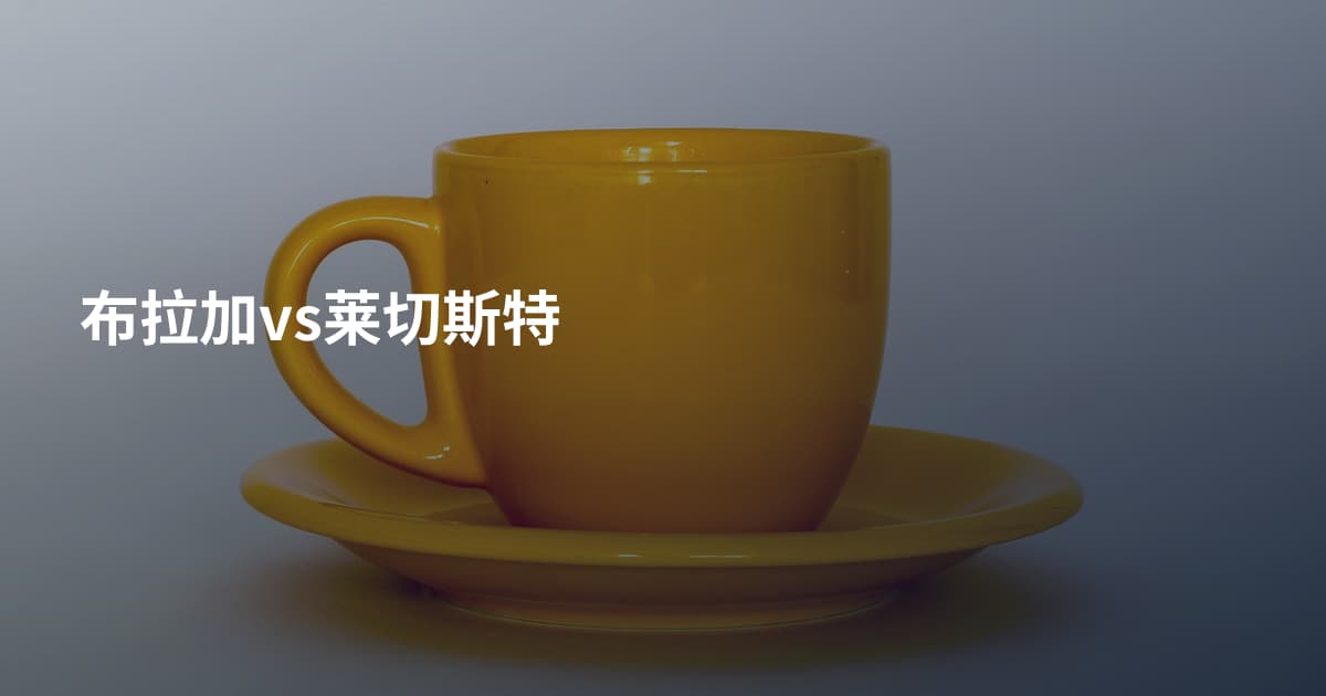 布拉加vs莱切斯特