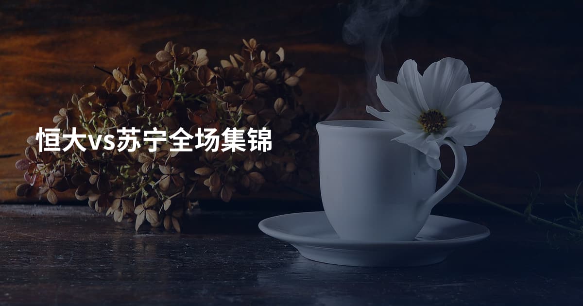 恒大vs苏宁全场集锦